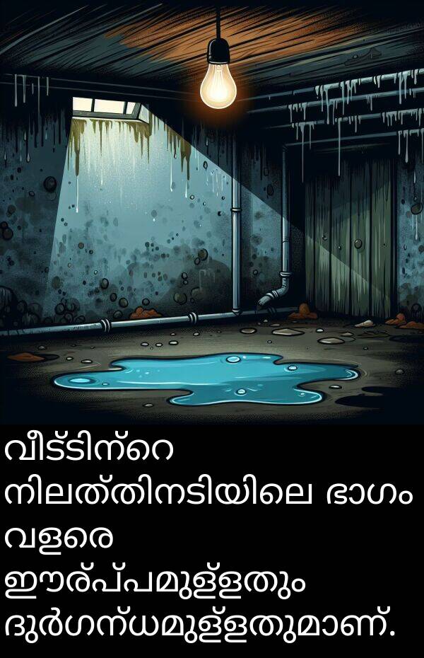 ഈര്പ്പമുള്ളതും: വീട്ടിന്റെ നിലത്തിനടിയിലെ ഭാഗം വളരെ ഈര്പ്പമുള്ളതും ദുർഗന്ധമുള്ളതുമാണ്.