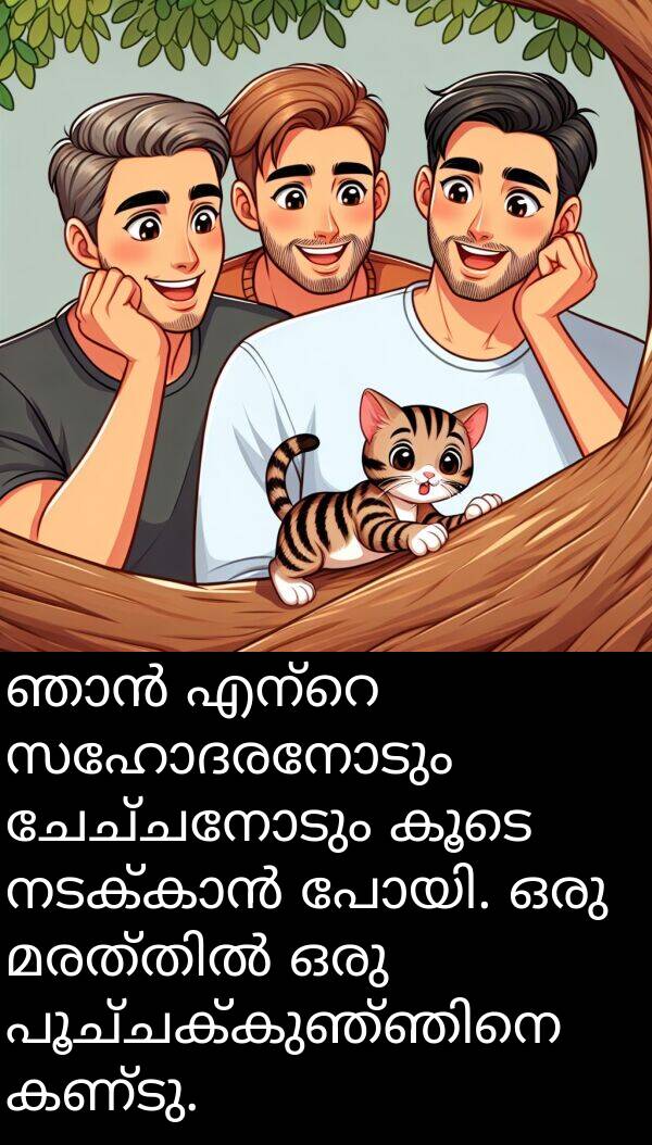 ചേച്ചനോടും: ഞാൻ എന്റെ സഹോദരനോടും ചേച്ചനോടും കൂടെ നടക്കാൻ പോയി. ഒരു മരത്തിൽ ഒരു പൂച്ചക്കുഞ്ഞിനെ കണ്ടു.