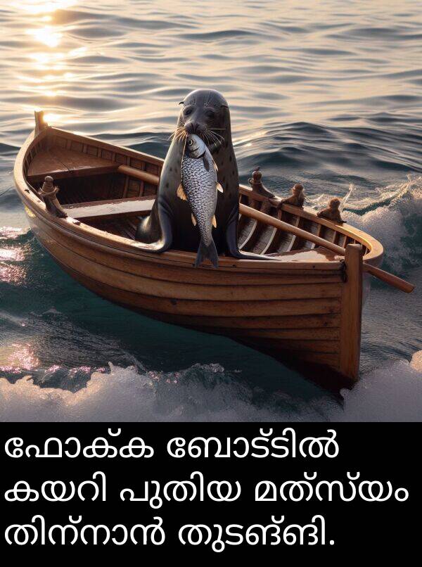 ഫോക്ക: ഫോക്ക ബോട്ടിൽ കയറി പുതിയ മത്സ്യം തിന്നാൻ തുടങ്ങി.
