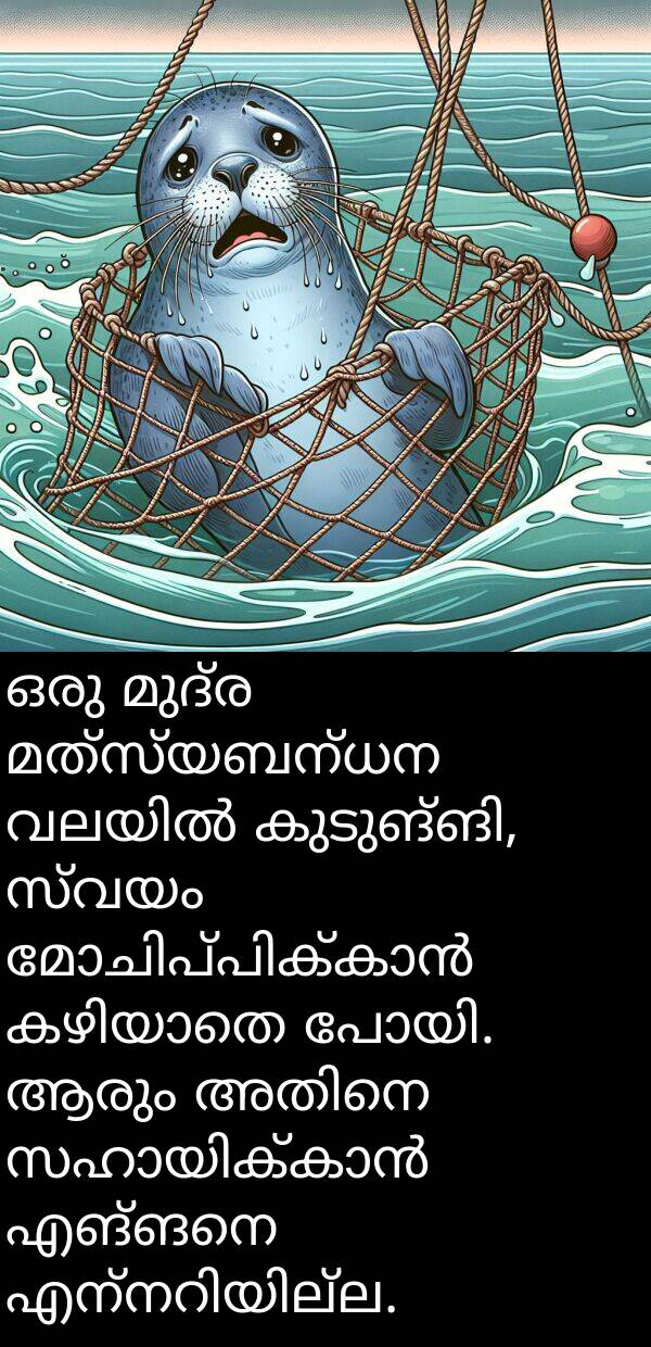 മത്സ്യബന്ധന: ഒരു മുദ്ര മത്സ്യബന്ധന വലയിൽ കുടുങ്ങി, സ്വയം മോചിപ്പിക്കാൻ കഴിയാതെ പോയി. ആരും അതിനെ സഹായിക്കാൻ എങ്ങനെ എന്നറിയില്ല.