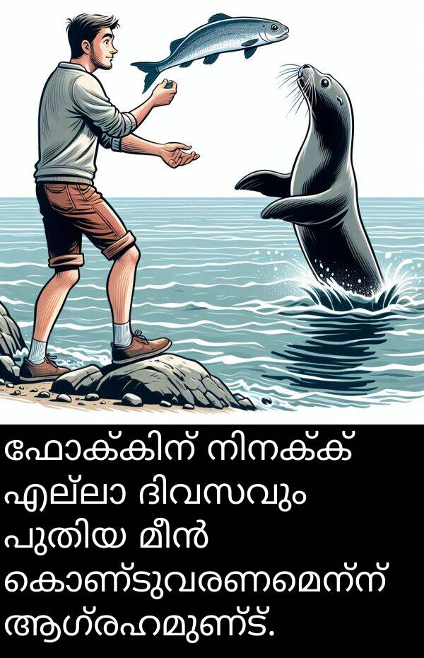 ആഗ്രഹമുണ്ട്: ഫോക്കിന് നിനക്ക് എല്ലാ ദിവസവും പുതിയ മീൻ കൊണ്ടുവരണമെന്ന് ആഗ്രഹമുണ്ട്.