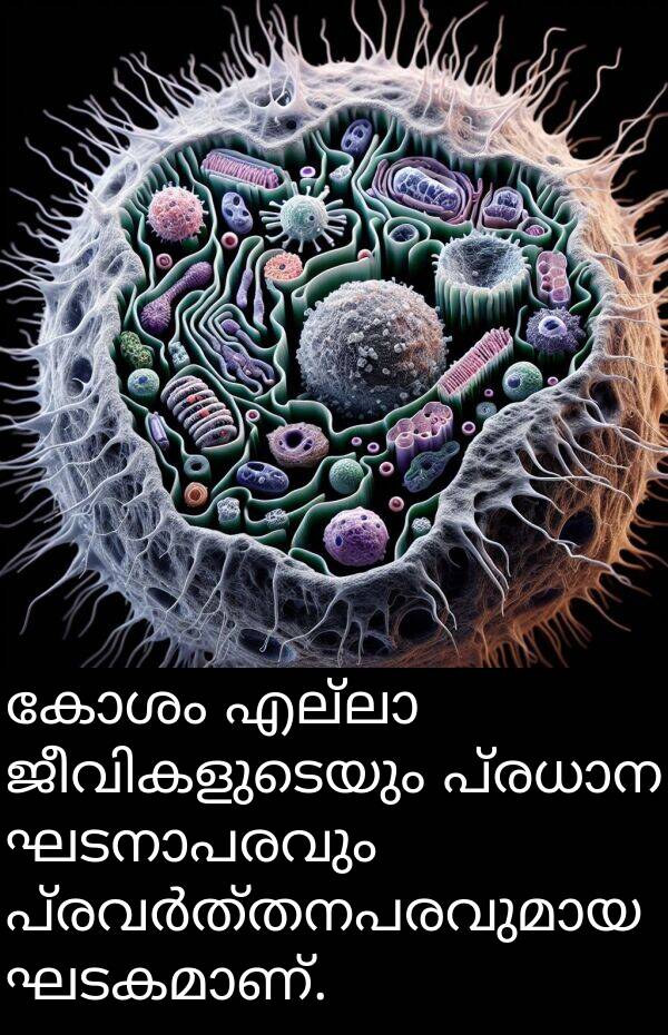 കോശം: കോശം എല്ലാ ജീവികളുടെയും പ്രധാന ഘടനാപരവും പ്രവർത്തനപരവുമായ ഘടകമാണ്.