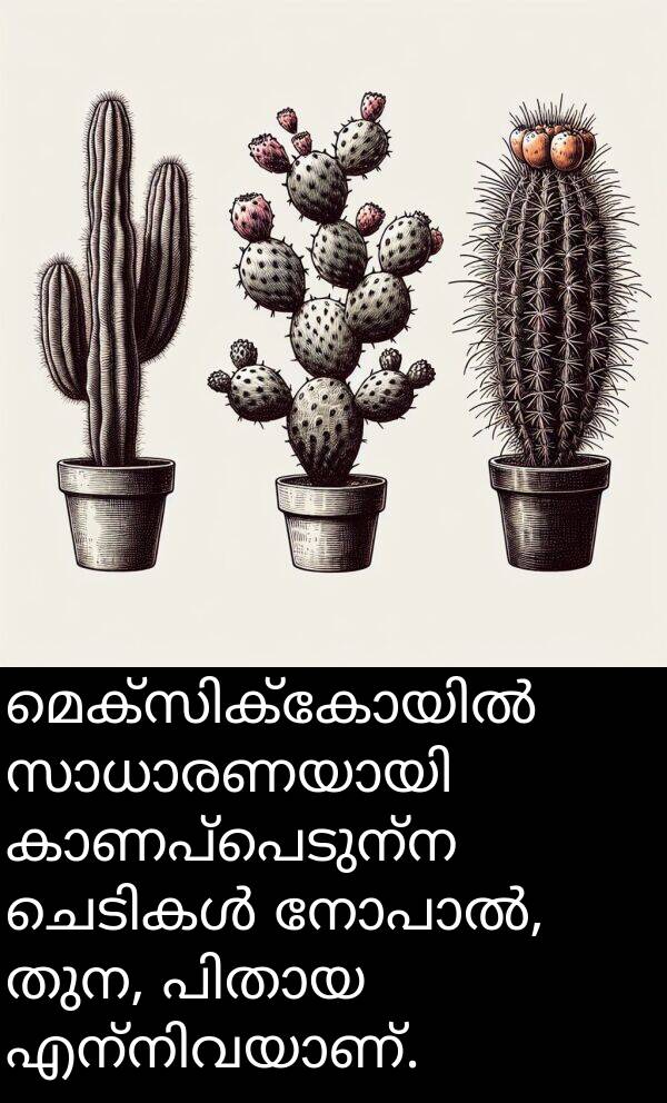 തുന: മെക്സിക്കോയിൽ സാധാരണയായി കാണപ്പെടുന്ന ചെടികൾ നോപാൽ, തുന, പിതായ എന്നിവയാണ്.