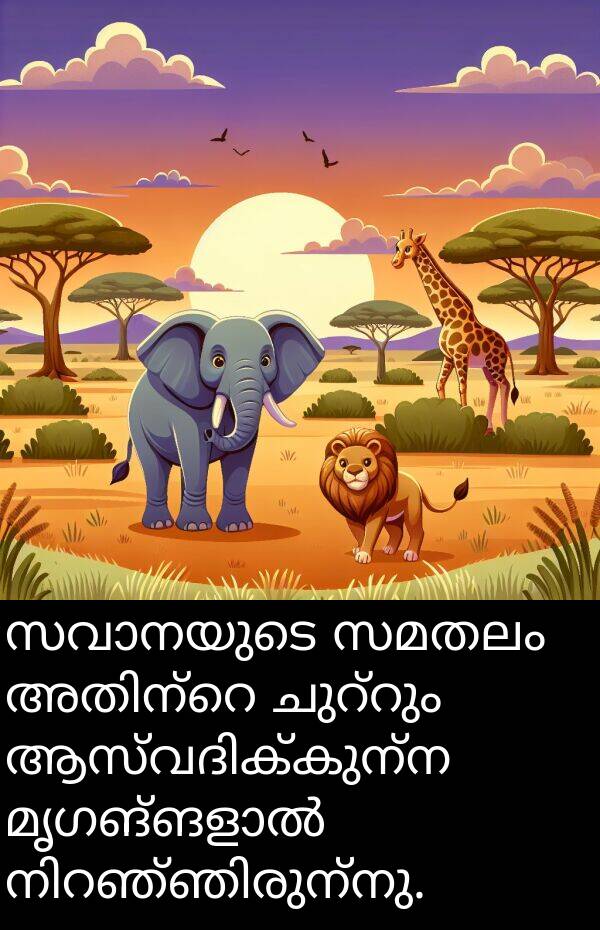 സമതലം: സവാനയുടെ സമതലം അതിന്റെ ചുറ്റും ആസ്വദിക്കുന്ന മൃഗങ്ങളാൽ നിറഞ്ഞിരുന്നു.