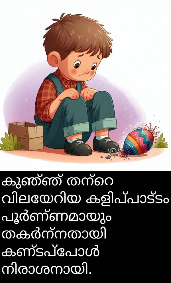 കുഞ്ഞ്: കുഞ്ഞ് തന്റെ വിലയേറിയ കളിപ്പാട്ടം പൂർണ്ണമായും തകർന്നതായി കണ്ടപ്പോൾ നിരാശനായി.