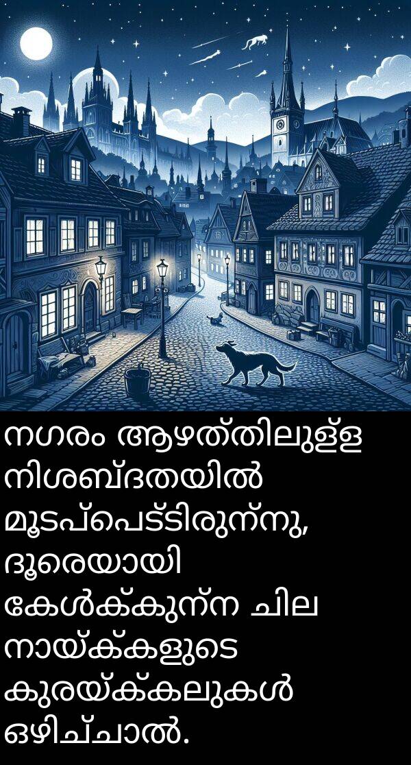 നഗരം: നഗരം ആഴത്തിലുള്ള നിശബ്ദതയിൽ മൂടപ്പെട്ടിരുന്നു, ദൂരെയായി കേൾക്കുന്ന ചില നായ്ക്കളുടെ കുരയ്ക്കലുകൾ ഒഴിച്ചാൽ.