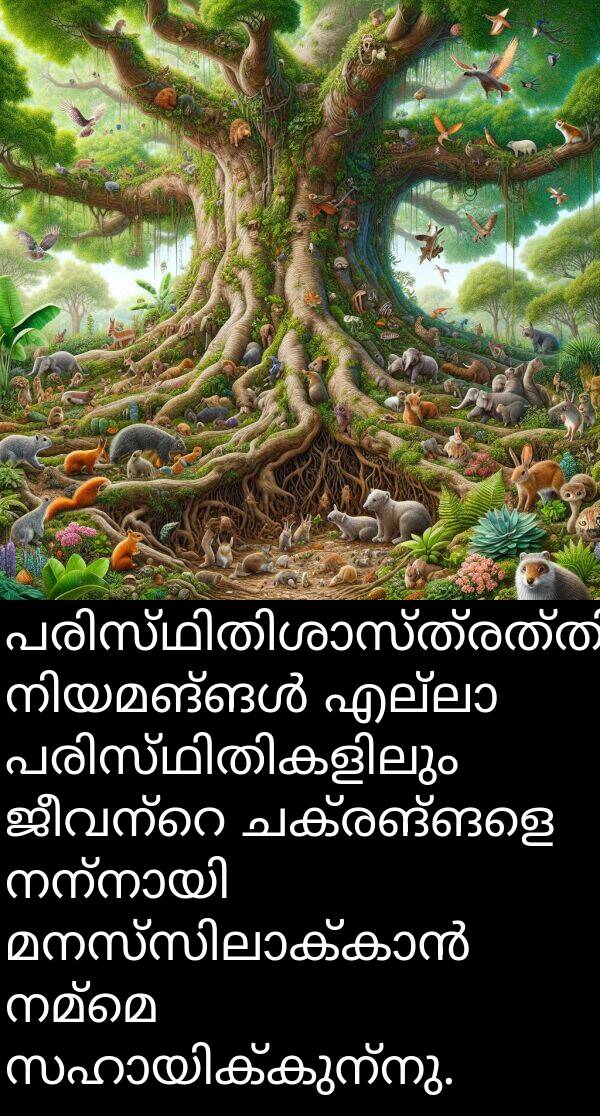 നമ്മെ: പരിസ്ഥിതിശാസ്ത്രത്തിന്റെ നിയമങ്ങൾ എല്ലാ പരിസ്ഥിതികളിലും ജീവന്റെ ചക്രങ്ങളെ നന്നായി മനസ്സിലാക്കാൻ നമ്മെ സഹായിക്കുന്നു.