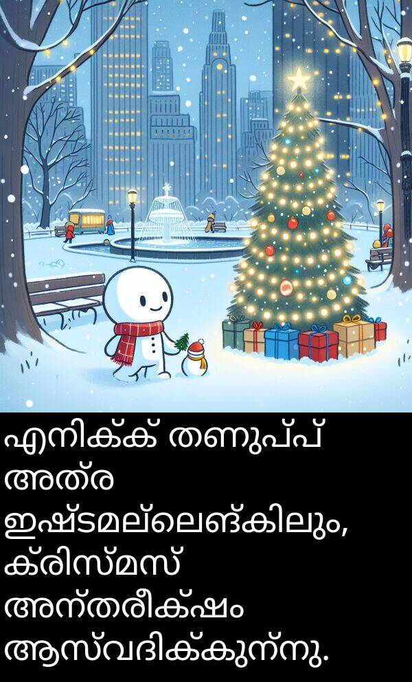 തണുപ്പ്: എനിക്ക് തണുപ്പ് അത്ര ഇഷ്ടമല്ലെങ്കിലും, ക്രിസ്മസ് അന്തരീക്ഷം ആസ്വദിക്കുന്നു.