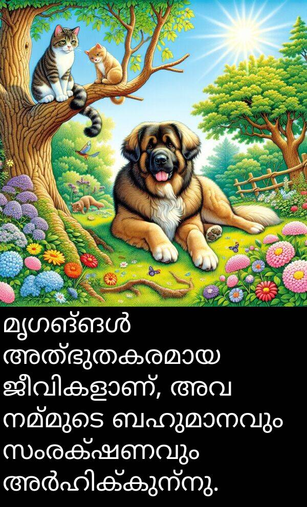 നമ്മുടെ: മൃഗങ്ങൾ അത്ഭുതകരമായ ജീവികളാണ്, അവ നമ്മുടെ ബഹുമാനവും സംരക്ഷണവും അർഹിക്കുന്നു.