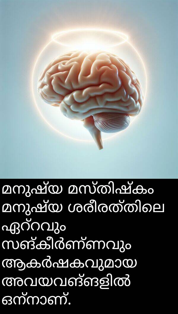മനുഷ്യ: മനുഷ്യ മസ്തിഷ്കം മനുഷ്യ ശരീരത്തിലെ ഏറ്റവും സങ്കീർണ്ണവും ആകർഷകവുമായ അവയവങ്ങളിൽ ഒന്നാണ്.