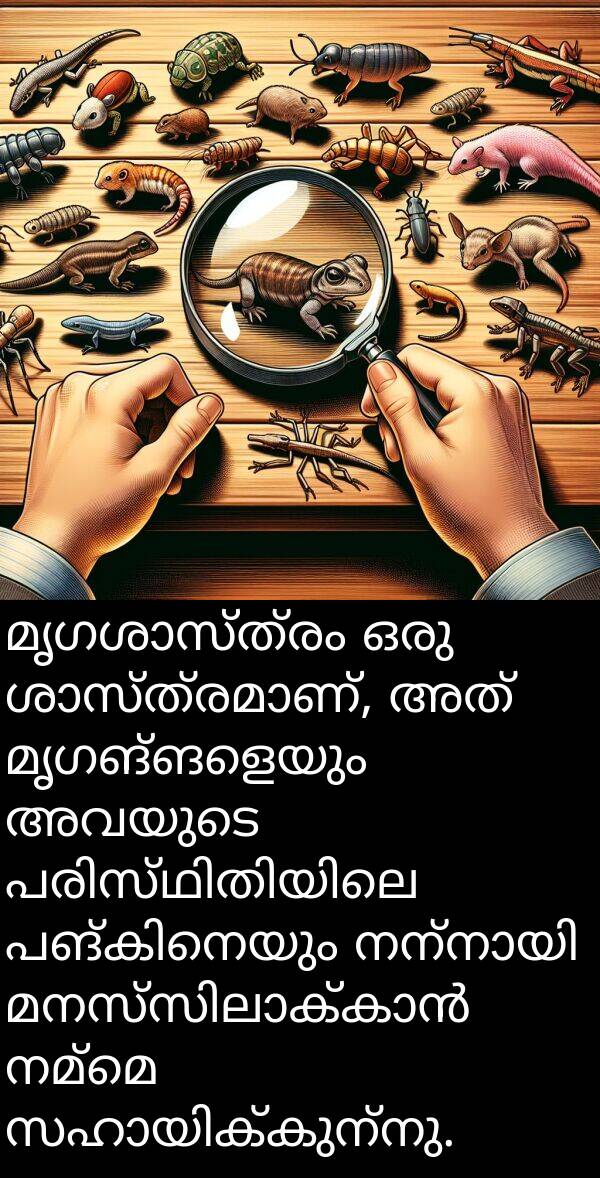 നമ്മെ: മൃഗശാസ്ത്രം ഒരു ശാസ്ത്രമാണ്, അത് മൃഗങ്ങളെയും അവയുടെ പരിസ്ഥിതിയിലെ പങ്കിനെയും നന്നായി മനസ്സിലാക്കാൻ നമ്മെ സഹായിക്കുന്നു.