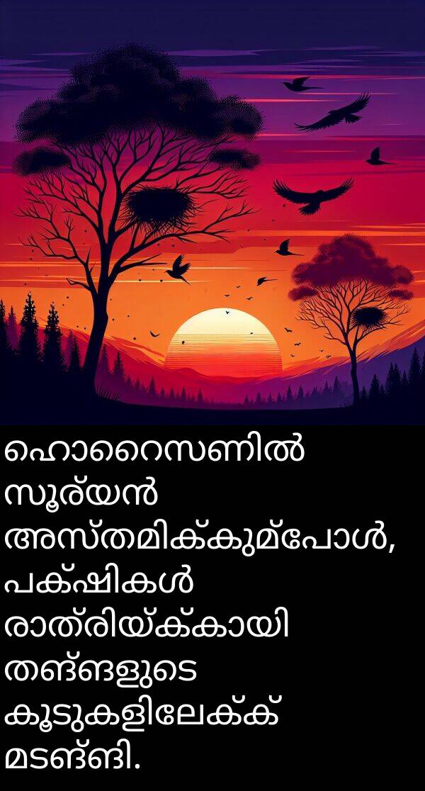 തങ്ങളുടെ: ഹൊറൈസണിൽ സൂര്യൻ അസ്തമിക്കുമ്പോൾ, പക്ഷികൾ രാത്രിയ്ക്കായി തങ്ങളുടെ കൂടുകളിലേക്ക് മടങ്ങി.
