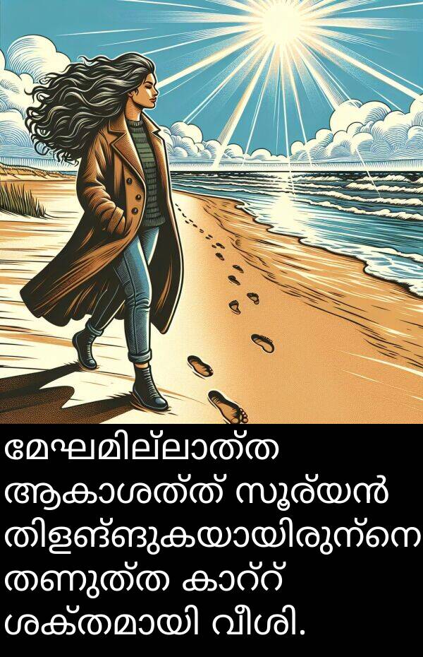 തണുത്ത: മേഘമില്ലാത്ത ആകാശത്ത് സൂര്യൻ തിളങ്ങുകയായിരുന്നെങ്കിലും, തണുത്ത കാറ്റ് ശക്തമായി വീശി.
