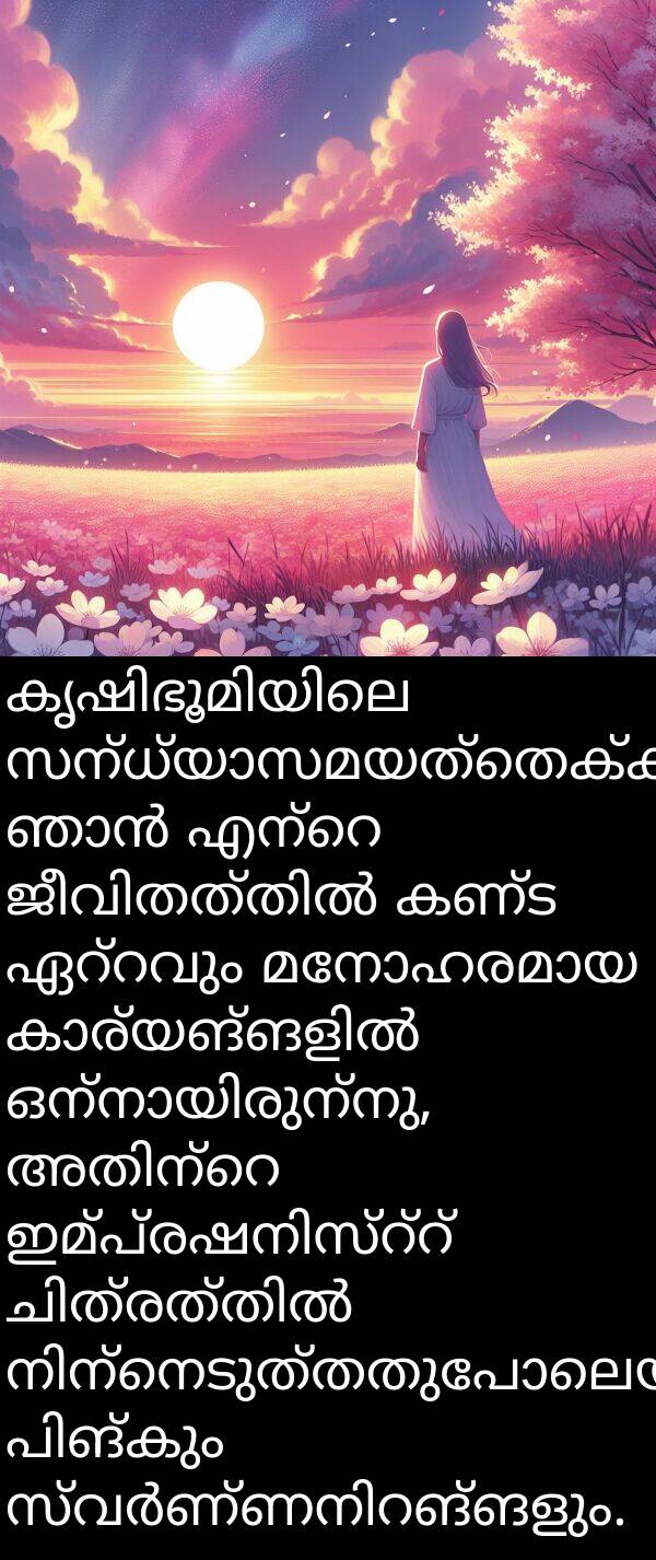 കണ്ട: കൃഷിഭൂമിയിലെ സന്ധ്യാസമയത്തെക്കുറിച്ച് ഞാൻ എന്റെ ജീവിതത്തിൽ കണ്ട ഏറ്റവും മനോഹരമായ കാര്യങ്ങളിൽ ഒന്നായിരുന്നു, അതിന്റെ ഇമ്പ്രഷനിസ്റ്റ് ചിത്രത്തിൽ നിന്നെടുത്തതുപോലെയുള്ള പിങ്കും സ്വർണ്ണനിറങ്ങളും.
