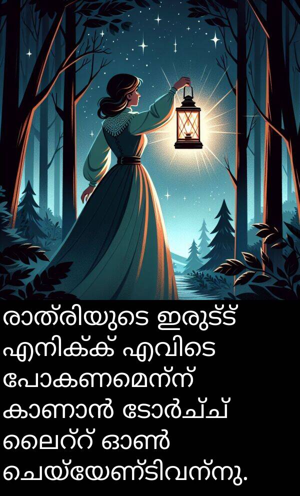 പോകണമെന്ന്: രാത്രിയുടെ ഇരുട്ട് എനിക്ക് എവിടെ പോകണമെന്ന് കാണാൻ ടോർച്ച് ലൈറ്റ് ഓൺ ചെയ്യേണ്ടിവന്നു.