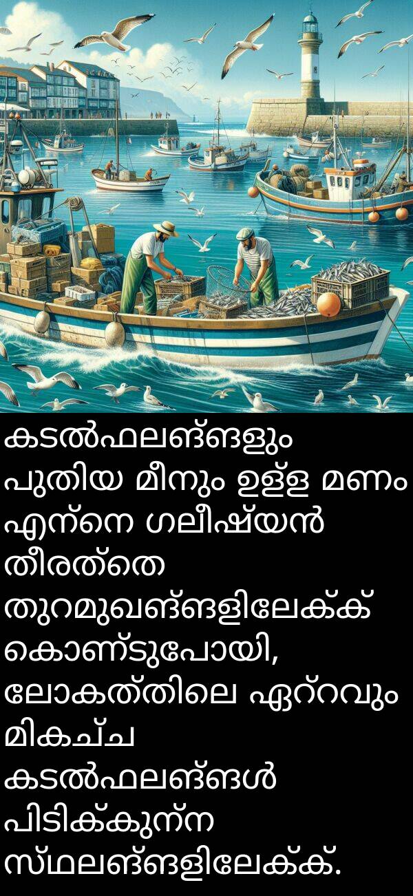 മണം: കടൽഫലങ്ങളും പുതിയ മീനും ഉള്ള മണം എന്നെ ഗലീഷ്യൻ തീരത്തെ തുറമുഖങ്ങളിലേക്ക് കൊണ്ടുപോയി, ലോകത്തിലെ ഏറ്റവും മികച്ച കടൽഫലങ്ങൾ പിടിക്കുന്ന സ്ഥലങ്ങളിലേക്ക്.