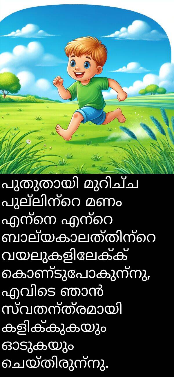 മണം: പുതുതായി മുറിച്ച പുല്ലിന്റെ മണം എന്നെ എന്റെ ബാല്യകാലത്തിന്റെ വയലുകളിലേക്ക് കൊണ്ടുപോകുന്നു, എവിടെ ഞാൻ സ്വതന്ത്രമായി കളിക്കുകയും ഓടുകയും ചെയ്തിരുന്നു.