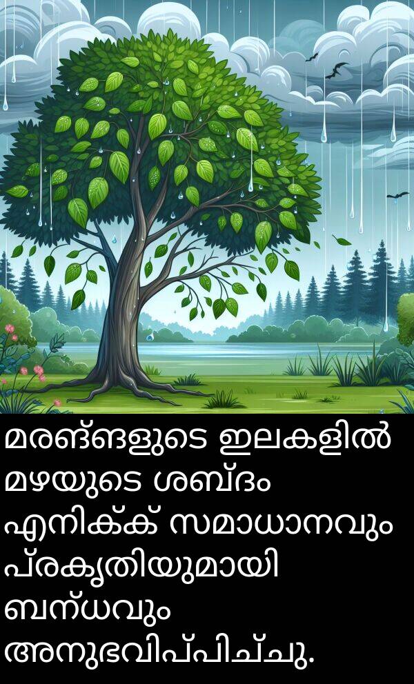 മഴയുടെ: മരങ്ങളുടെ ഇലകളിൽ മഴയുടെ ശബ്ദം എനിക്ക് സമാധാനവും പ്രകൃതിയുമായി ബന്ധവും അനുഭവിപ്പിച്ചു.
