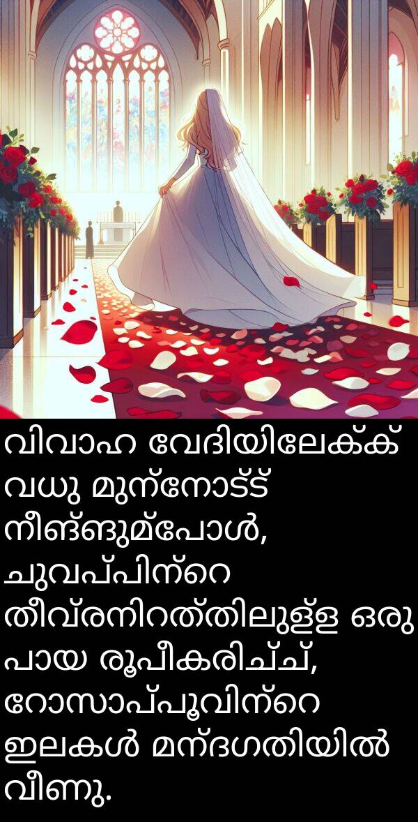 വധു: വിവാഹ വേദിയിലേക്ക് വധു മുന്നോട്ട് നീങ്ങുമ്പോൾ, ചുവപ്പിന്റെ തീവ്രനിറത്തിലുള്ള ഒരു പായ രൂപീകരിച്ച്, റോസാപ്പൂവിന്റെ ഇലകൾ മന്ദഗതിയിൽ വീണു.