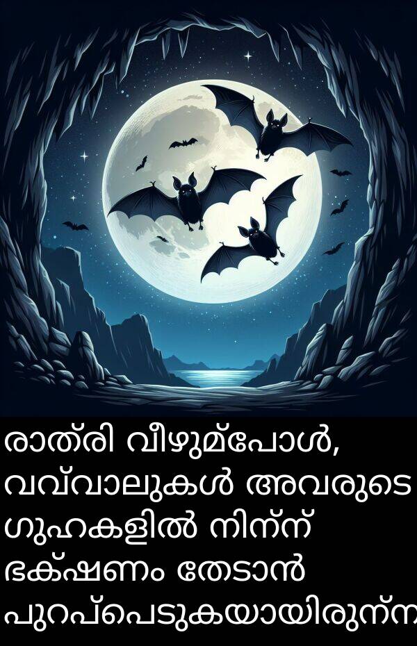 ഭക്ഷണം: രാത്രി വീഴുമ്പോൾ, വവ്വാലുകൾ അവരുടെ ഗുഹകളിൽ നിന്ന് ഭക്ഷണം തേടാൻ പുറപ്പെടുകയായിരുന്നു.