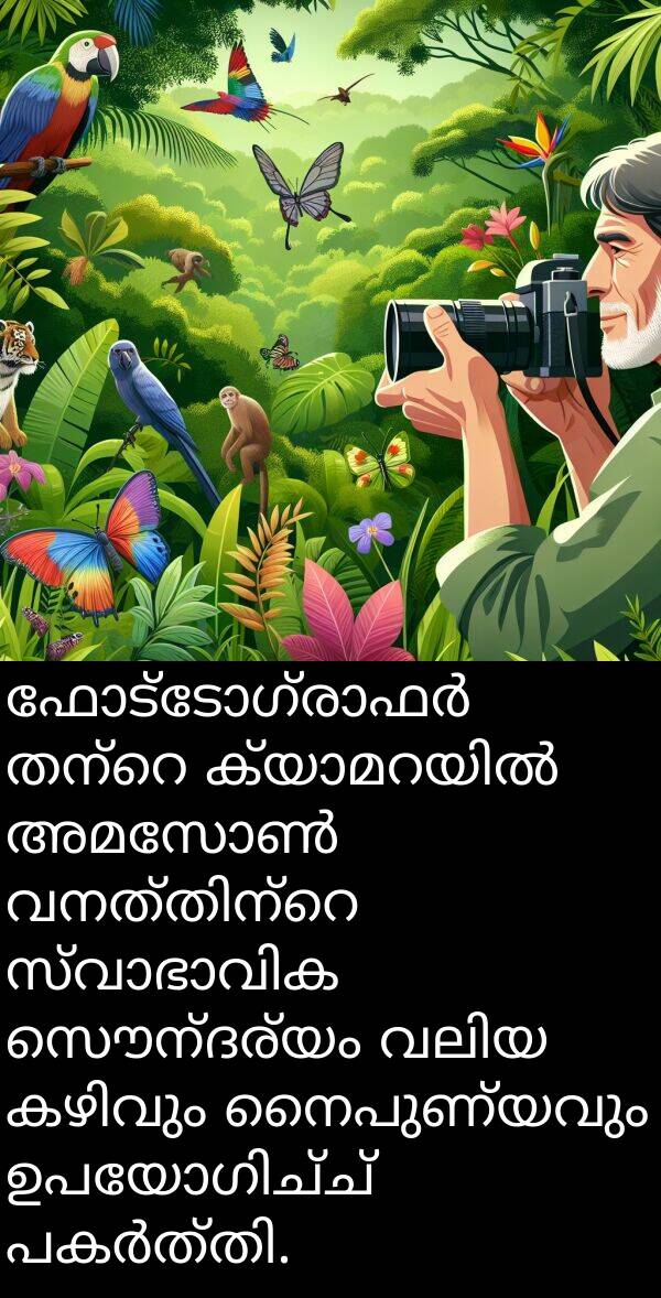 സൌന്ദര്യം: ഫോട്ടോഗ്രാഫർ തന്റെ ക്യാമറയിൽ അമസോൺ വനത്തിന്റെ സ്വാഭാവിക സൌന്ദര്യം വലിയ കഴിവും നൈപുണ്യവും ഉപയോഗിച്ച് പകർത്തി.
