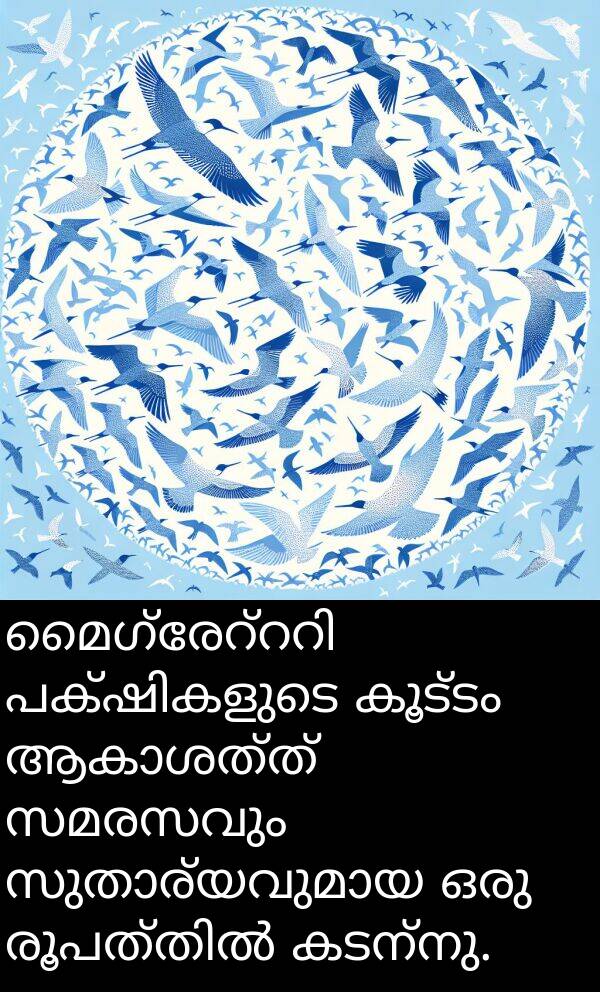 കടന്നു: മൈഗ്രേറ്ററി പക്ഷികളുടെ കൂട്ടം ആകാശത്ത് സമരസവും സുതാര്യവുമായ ഒരു രൂപത്തിൽ കടന്നു.