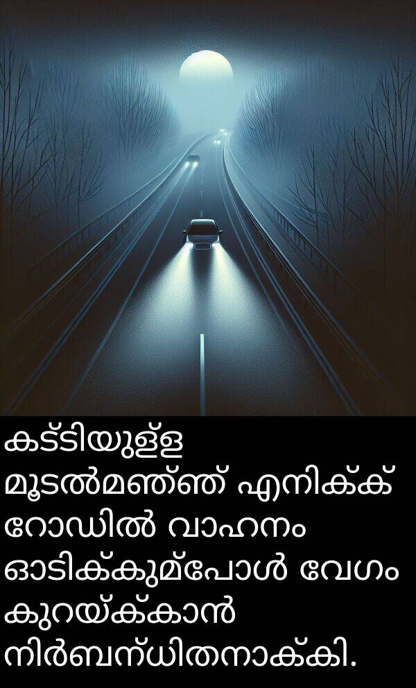 വേഗം: കട്ടിയുള്ള മൂടൽമഞ്ഞ് എനിക്ക് റോഡിൽ വാഹനം ഓടിക്കുമ്പോൾ വേഗം കുറയ്ക്കാൻ നിർബന്ധിതനാക്കി.