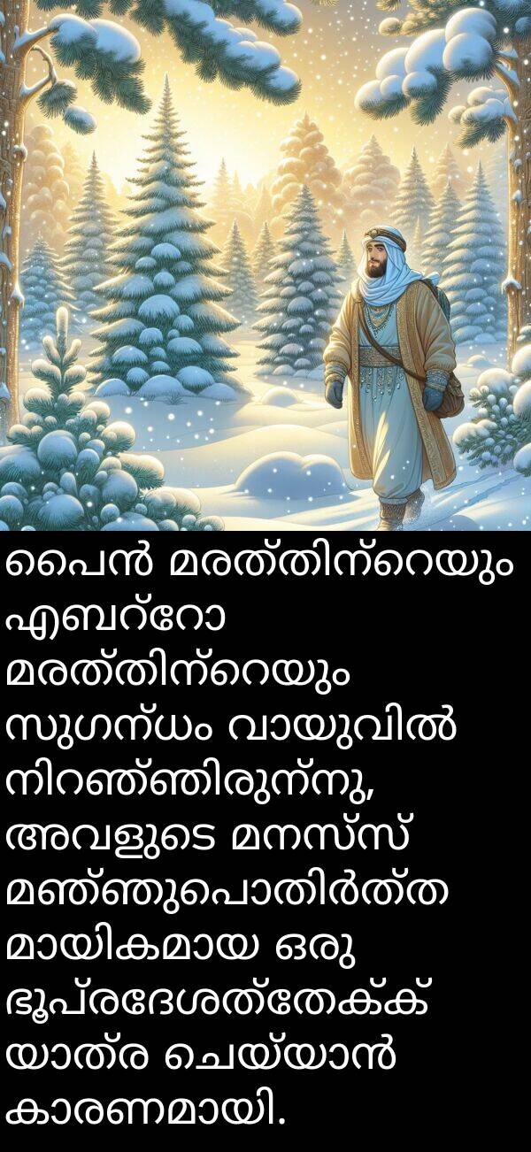 ഭൂപ്രദേശത്തേക്ക്: പൈൻ മരത്തിന്റെയും എബറ്റോ മരത്തിന്റെയും സുഗന്ധം വായുവിൽ നിറഞ്ഞിരുന്നു, അവളുടെ മനസ്സ് മഞ്ഞുപൊതിർത്ത മായികമായ ഒരു ഭൂപ്രദേശത്തേക്ക് യാത്ര ചെയ്യാൻ കാരണമായി.