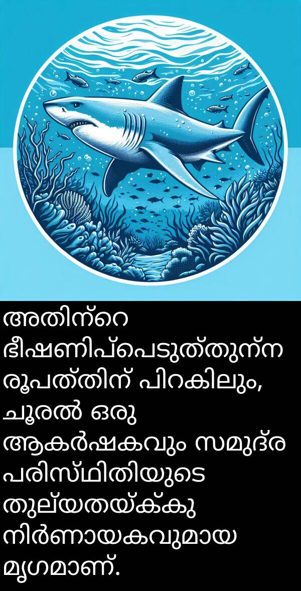 സമുദ്ര: അതിന്റെ ഭീഷണിപ്പെടുത്തുന്ന രൂപത്തിന് പിറകിലും, ചൂരൽ ഒരു ആകർഷകവും സമുദ്ര പരിസ്ഥിതിയുടെ തുല്യതയ്ക്കു നിർണായകവുമായ മൃഗമാണ്.