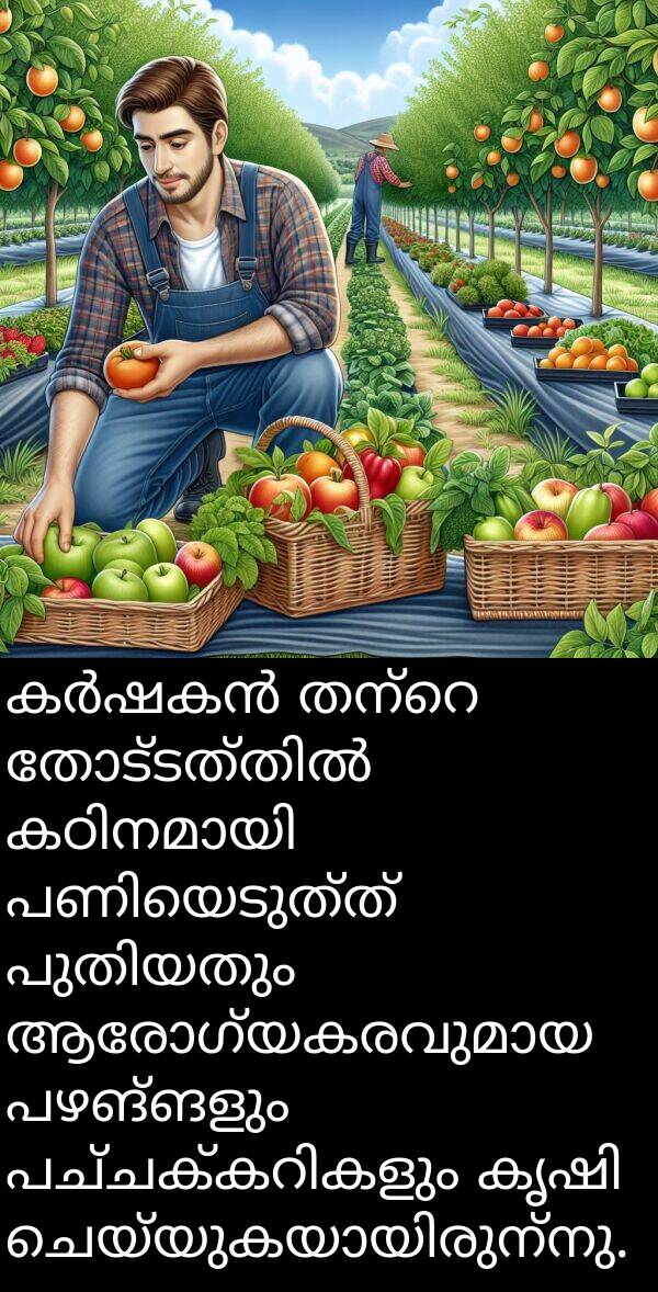 പഴങ്ങളും: കർഷകൻ തന്റെ തോട്ടത്തിൽ കഠിനമായി പണിയെടുത്ത് പുതിയതും ആരോഗ്യകരവുമായ പഴങ്ങളും പച്ചക്കറികളും കൃഷി ചെയ്യുകയായിരുന്നു.