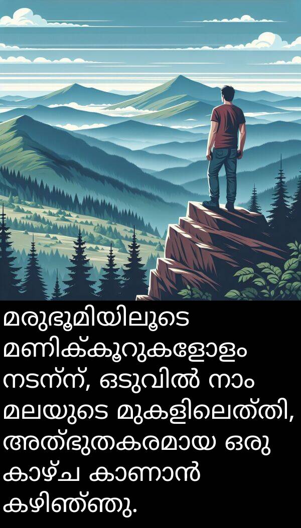 നടന്ന്: മരുഭൂമിയിലൂടെ മണിക്കൂറുകളോളം നടന്ന്, ഒടുവിൽ നാം മലയുടെ മുകളിലെത്തി, അത്ഭുതകരമായ ഒരു കാഴ്ച കാണാൻ കഴിഞ്ഞു.