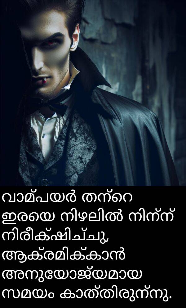സമയം: വാമ്പയർ തന്റെ ഇരയെ നിഴലിൽ നിന്ന് നിരീക്ഷിച്ചു, ആക്രമിക്കാൻ അനുയോജ്യമായ സമയം കാത്തിരുന്നു.