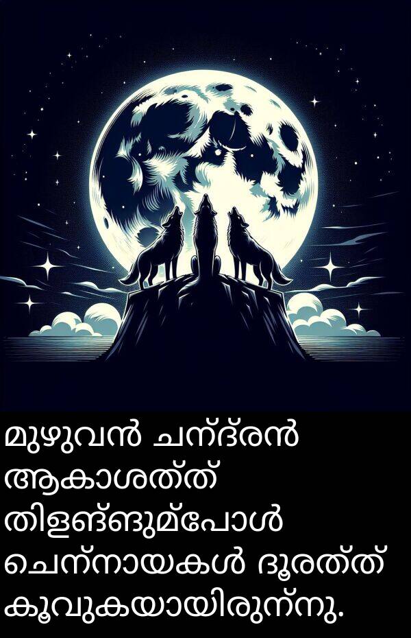 ദൂരത്ത്: മുഴുവൻ ചന്ദ്രൻ ആകാശത്ത് തിളങ്ങുമ്പോൾ ചെന്നായകൾ ദൂരത്ത് കൂവുകയായിരുന്നു.