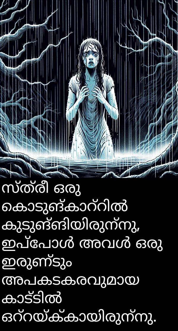 സ്ത്രീ: സ്ത്രീ ഒരു കൊടുങ്കാറ്റിൽ കുടുങ്ങിയിരുന്നു, ഇപ്പോൾ അവൾ ഒരു ഇരുണ്ടും അപകടകരവുമായ കാട്ടിൽ ഒറ്റയ്ക്കായിരുന്നു.