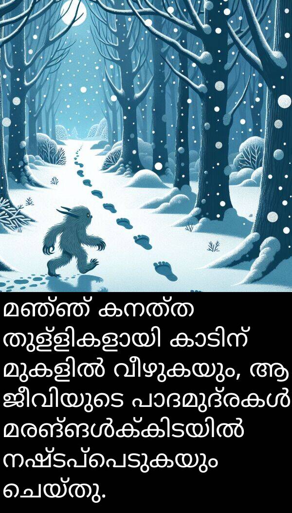 വീഴുകയും: മഞ്ഞ് കനത്ത തുള്ളികളായി കാടിന് മുകളിൽ വീഴുകയും, ആ ജീവിയുടെ പാദമുദ്രകൾ മരങ്ങൾക്കിടയിൽ നഷ്ടപ്പെടുകയും ചെയ്തു.