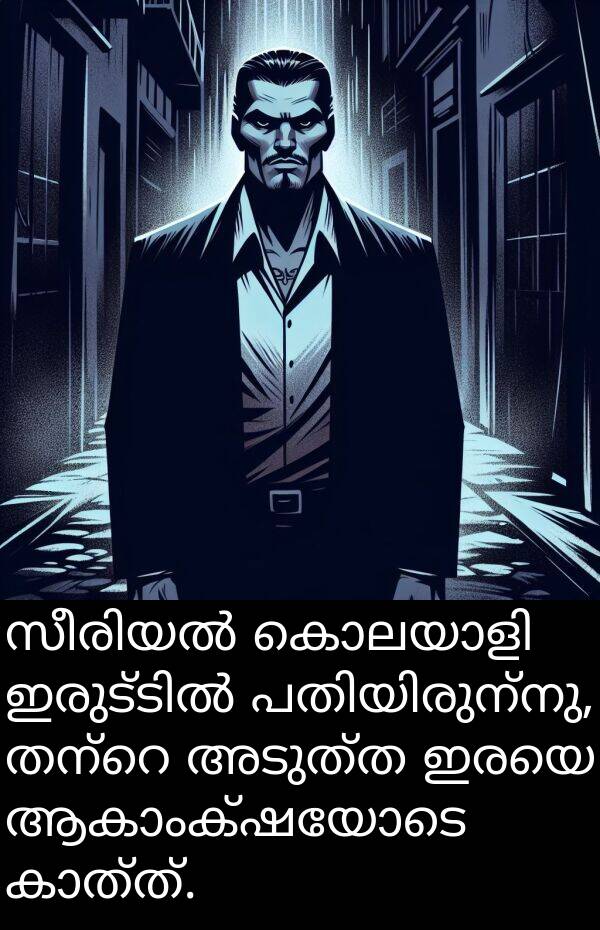 അടുത്ത: സീരിയൽ കൊലയാളി ഇരുട്ടിൽ പതിയിരുന്നു, തന്റെ അടുത്ത ഇരയെ ആകാംക്ഷയോടെ കാത്ത്.