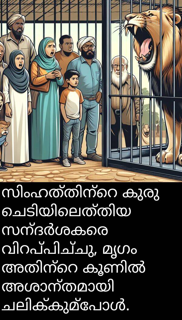കുരു: സിംഹത്തിന്റെ കുരു ചെടിയിലെത്തിയ സന്ദർശകരെ വിറപ്പിച്ചു, മൃഗം അതിന്റെ കൂണിൽ അശാന്തമായി ചലിക്കുമ്പോൾ.