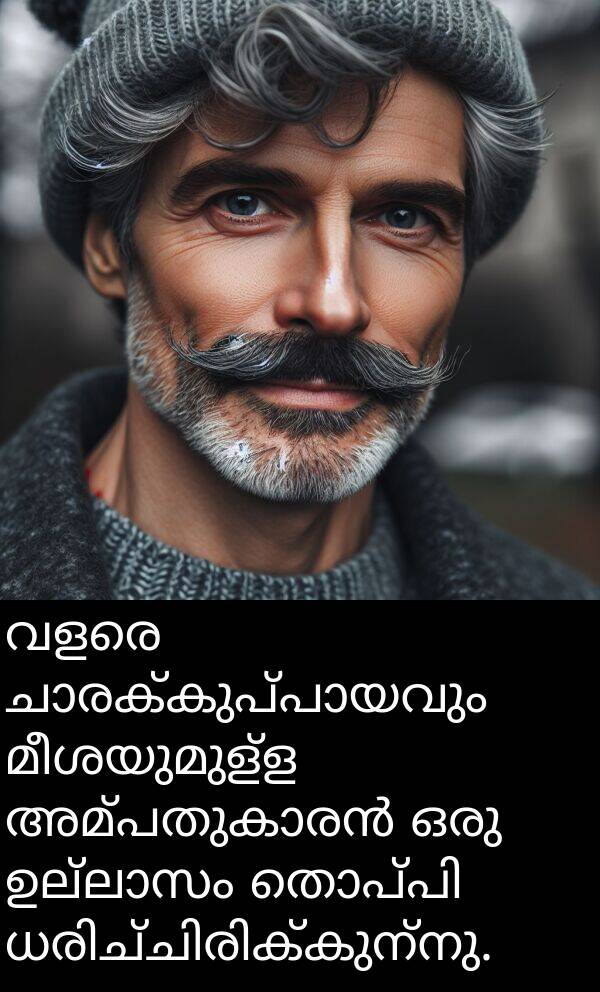 മീശയുമുള്ള: വളരെ ചാരക്കുപ്പായവും മീശയുമുള്ള അമ്പതുകാരൻ ഒരു ഉല്ലാസം തൊപ്പി ധരിച്ചിരിക്കുന്നു.