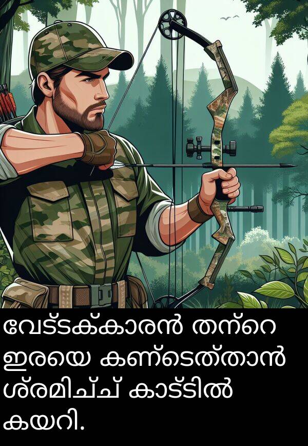 ഇരയെ: വേട്ടക്കാരൻ തന്റെ ഇരയെ കണ്ടെത്താൻ ശ്രമിച്ച് കാട്ടിൽ കയറി.