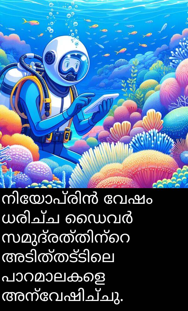 വേഷം: നിയോപ്രിൻ വേഷം ധരിച്ച ഡൈവർ സമുദ്രത്തിന്റെ അടിത്തട്ടിലെ പാറമാലകളെ അന്വേഷിച്ചു.