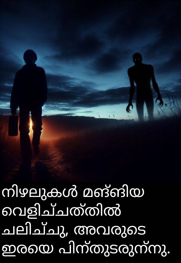 ഇരയെ: നിഴലുകൾ മങ്ങിയ വെളിച്ചത്തിൽ ചലിച്ചു, അവരുടെ ഇരയെ പിന്തുടരുന്നു.