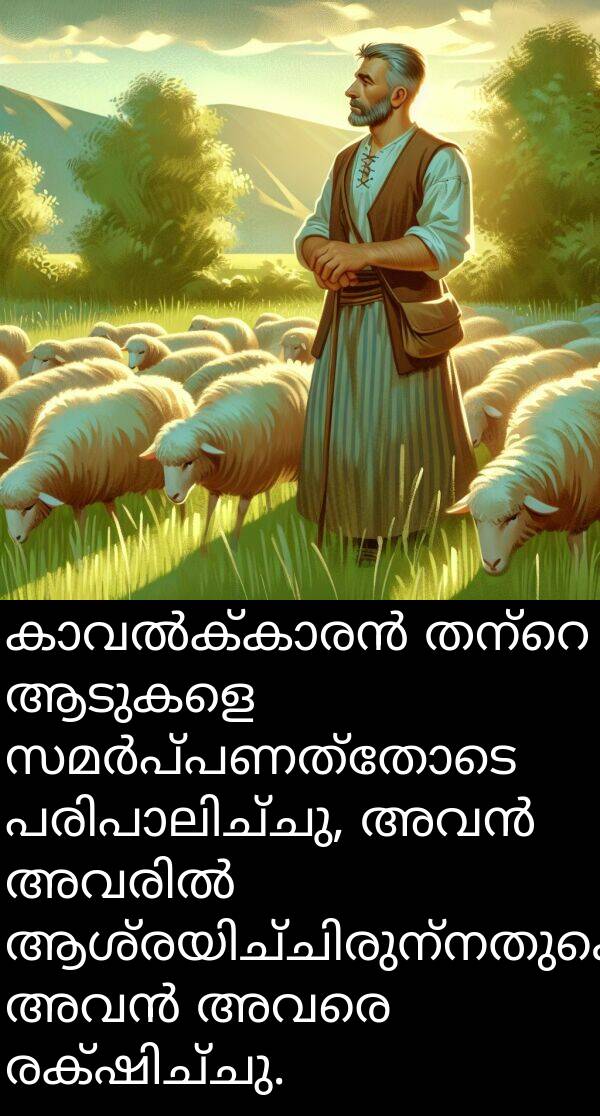 ആടുകളെ: കാവൽക്കാരൻ തന്റെ ആടുകളെ സമർപ്പണത്തോടെ പരിപാലിച്ചു, അവൻ അവരിൽ ആശ്രയിച്ചിരുന്നതുകൊണ്ട് അവൻ അവരെ രക്ഷിച്ചു.