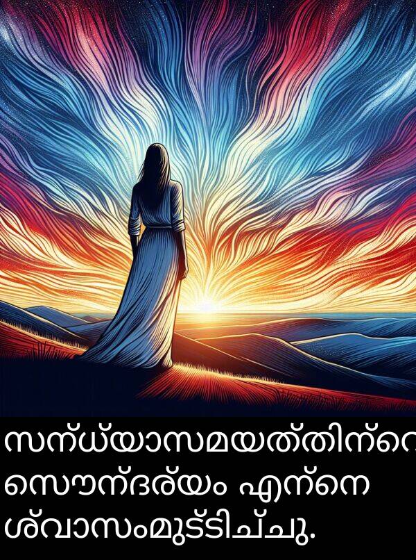 സൌന്ദര്യം: സന്ധ്യാസമയത്തിന്റെ സൌന്ദര്യം എന്നെ ശ്വാസംമുട്ടിച്ചു.