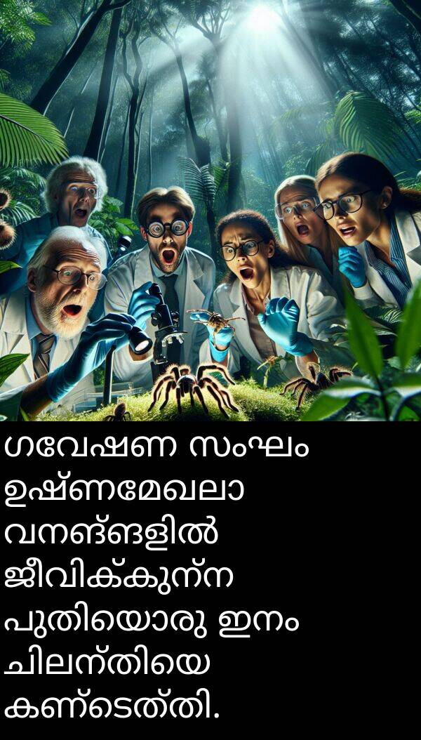 ഗവേഷണ: ഗവേഷണ സംഘം ഉഷ്ണമേഖലാ വനങ്ങളിൽ ജീവിക്കുന്ന പുതിയൊരു ഇനം ചിലന്തിയെ കണ്ടെത്തി.