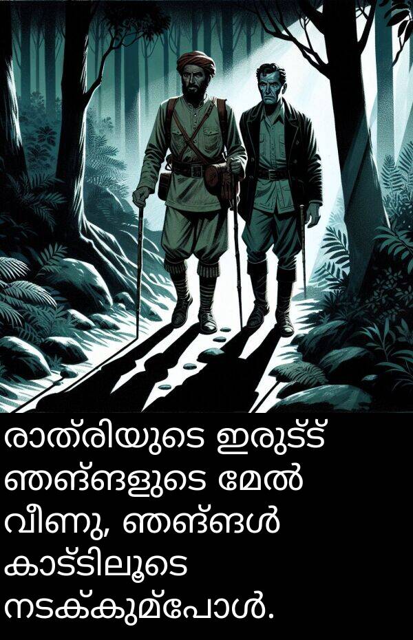 വീണു: രാത്രിയുടെ ഇരുട്ട് ഞങ്ങളുടെ മേൽ വീണു, ഞങ്ങൾ കാട്ടിലൂടെ നടക്കുമ്പോൾ.