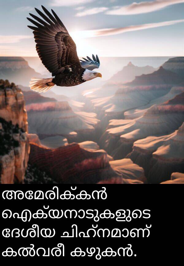 ദേശീയ: അമേരിക്കൻ ഐക്യനാടുകളുടെ ദേശീയ ചിഹ്നമാണ് കൽവരീ കഴുകൻ.