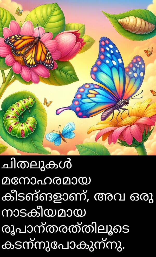 കടന്നുപോകുന്നു: ചിതലുകൾ മനോഹരമായ കീടങ്ങളാണ്, അവ ഒരു നാടകീയമായ രൂപാന്തരത്തിലൂടെ കടന്നുപോകുന്നു.