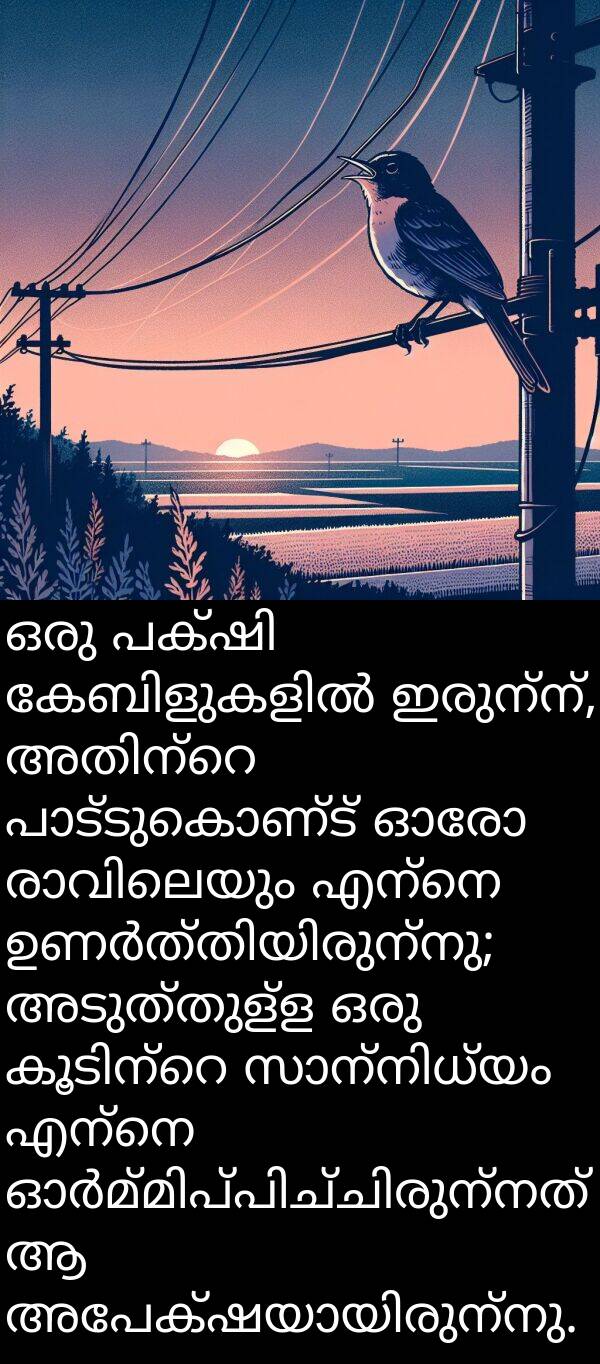അടുത്തുള്ള: ഒരു പക്ഷി കേബിളുകളിൽ ഇരുന്ന്, അതിന്റെ പാട്ടുകൊണ്ട് ഓരോ രാവിലെയും എന്നെ ഉണർത്തിയിരുന്നു; അടുത്തുള്ള ഒരു കൂടിന്റെ സാന്നിധ്യം എന്നെ ഓർമ്മിപ്പിച്ചിരുന്നത് ആ അപേക്ഷയായിരുന്നു.