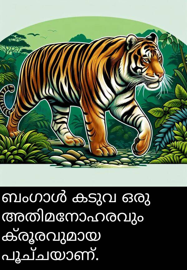 കടുവ: ബംഗാൾ കടുവ ഒരു അതിമനോഹരവും ക്രൂരവുമായ പൂച്ചയാണ്.