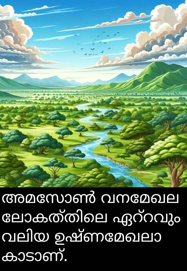 വനമേഖല: അമസോൺ വനമേഖല ലോകത്തിലെ ഏറ്റവും വലിയ ഉഷ്ണമേഖലാ കാടാണ്.